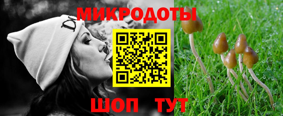 Галлюциногенные грибы Psilocybine cubensis Донецк