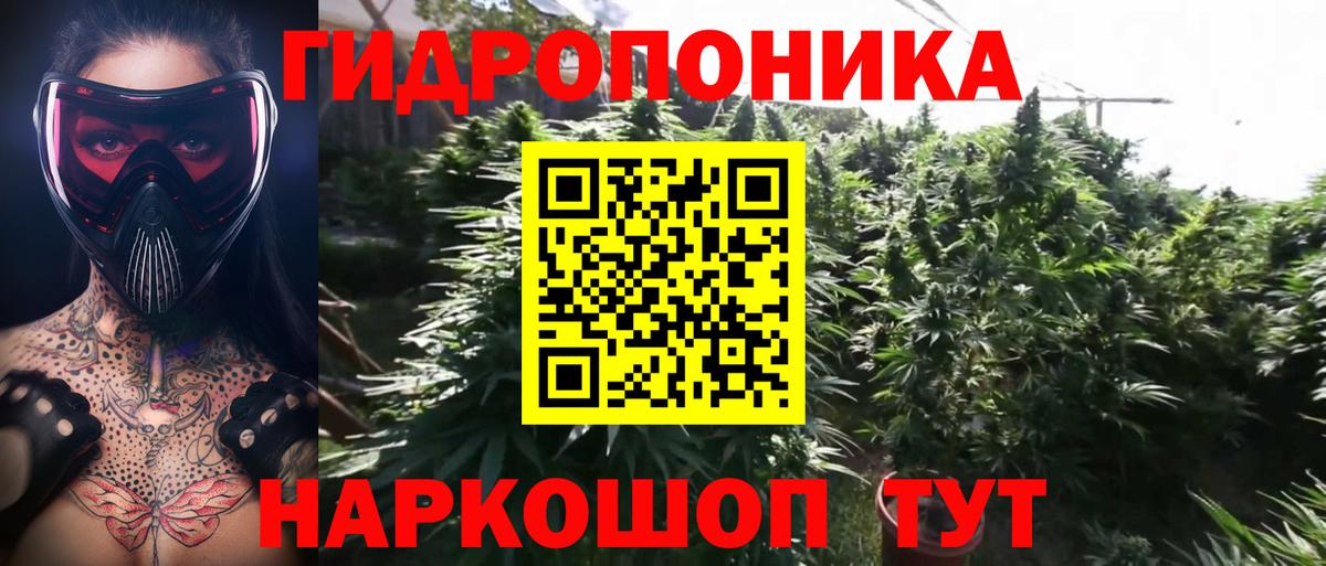 Марихуана ГИДРОПОН  Бошки Шишки SATIVA & INDICA  Вход с VPN  Донецк  Каннабис SATIVA & INDICA 